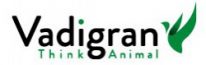 VadiGran