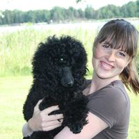 Trimmaamo Koira-Expertit