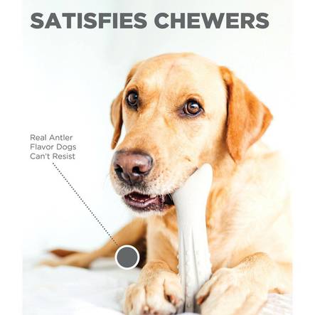 Nylonluu Deerhorn aidolla poronsarven maulla Petstages - Koiran keppi-, rengas- ja noutolelut - 027980 - 2