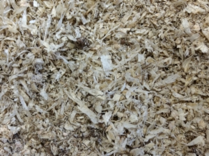 RUTI Mix turvekutteri 25kg Epira - Tallin ja eläinsuojan kuivikkeet - 006300 - 2