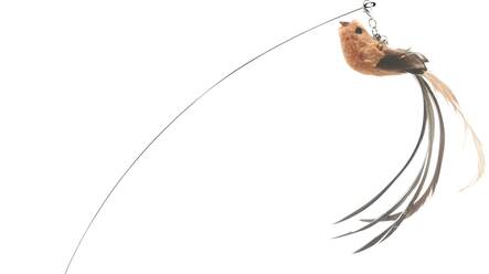 Leikittimen vaihtolelu 2kpl lintu & karvapuuhka Companion - Kissan huiskat ja onkilelut - 039530 - 1