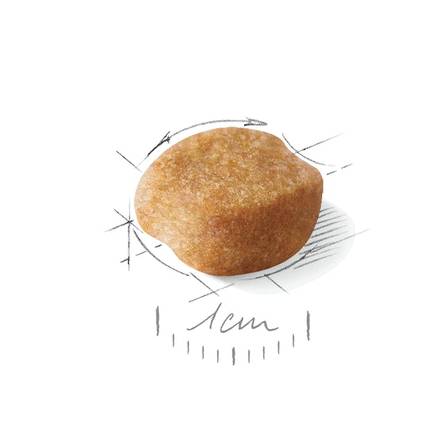 Yorkshire Terrier Adult Royal Canin - Koiran kuivaruoat aikuisille koirille - 000940 - 2