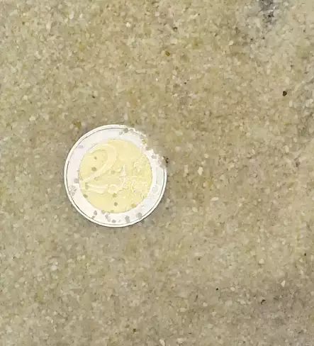 Natural vaalea kvartsihiekka 0.4-1.3mm 10kg AquaEl - Akvaarion tarvikkeet ja hiekat - 040610 - 2