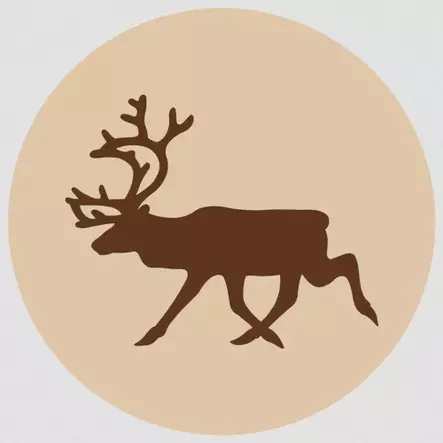 Poro jauhettu luuton 500g Fanimal - Koiralle pakastelihat ja -elimet - 045790 - 1
