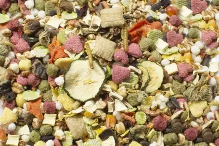 Rotan täysrehu 500g JR Farm - Rotan ja Fretin ruoka - 046150 - 2
