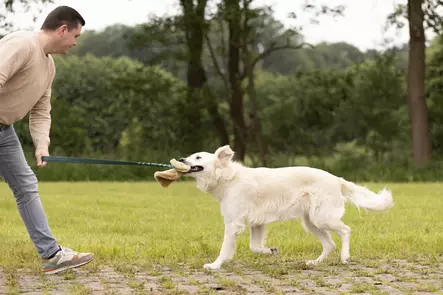 Aitokarvapatukka Furtra joustokahvalla 11x100cm värimix Flamingo - Koiran pehmolelut - 055510 - 2