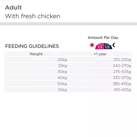 Golden Retriever 12kg Eukanuba - Koiran kuivaruoat aikuisille koirille - 000240 - 2