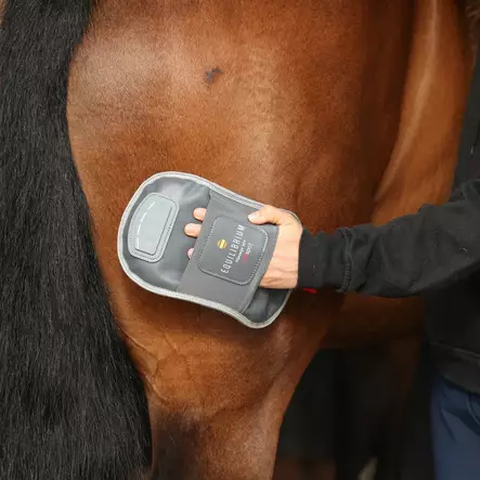 Lämmittävä hierontakinnas Massage Mitt Hotspot Equilibrium - Terapia ja kylmäys tarvikkeet hevoselle - 048450 - 2