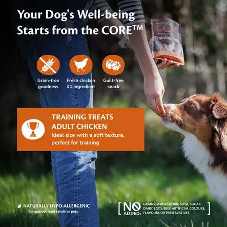 Makupala Chicken Training Treats Soft 170g CORE - Koiran herkut ja makupalat - 055030 - 2
