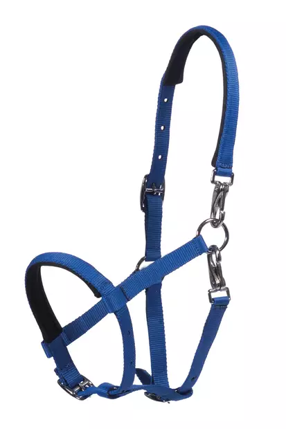 Nyloninen varsariimu Millie HKM-sports - Hevosen nylonriimunarut - 055940 - 1