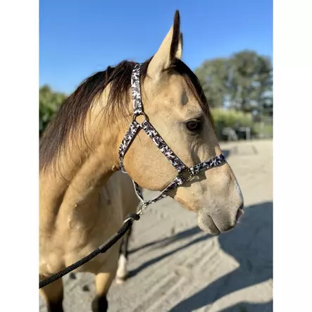 Nylonriimu Cattle Drive FULL musta-valkoinen Schulz Equine - Hevosen nylonriimut - 056640 - 2