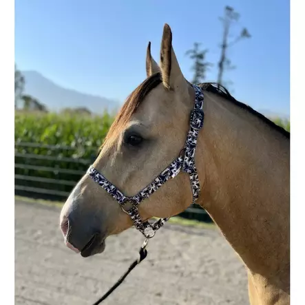 Nylonriimu Cattle Drive FULL musta-valkoinen Schulz Equine - Hevosen nylonriimut - 056640 - 1