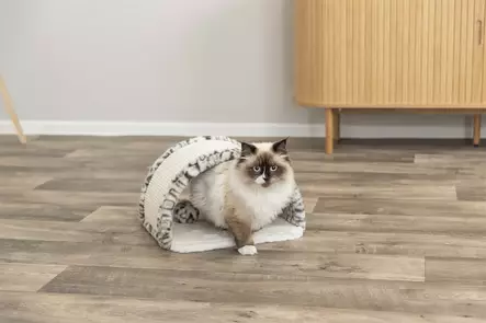 Raapimakaari Leo 25cm creme Trixie - Kissan raapimalaudat ja -tolpat - 054700 - 2