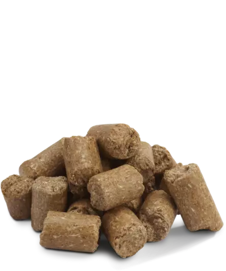 Rehupelletti Rotta & Hiiri Crispy Pellets Versele Laga - Hamsterin ja hiirien ruoka - 055160 - 2