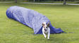 Agility säkkitunneli 60x500cm sin Trixie - Esteet, putket, tasapainotyynyt - 023450 - 1