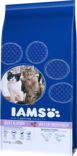 Cat Multicat 15kg Iams - Kissan kuivaruoat aikuisille kissoille - 000310 - 2