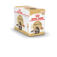 Maine Coon Adult Gravy 12x85g kastike Royal Canin - Aikuisten kissojen säilykkeet - 005840 - 3