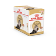 Persian Adult Loaf 12x85g mureke Royal Canin - Aikuisten kissojen säilykkeet - 018660 - 3