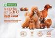 Red Dogs Ddult Medium Poultry 10kg Nature's Protection Superior Care - Koiran kuivaruoat aikuisille koirille - 039490 - 2