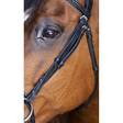 Suitset+ohjat Hybrid Confort ruskea Eric Thomas - Ratsuhevosen suitset ja turpahihnat - 025240 - 3