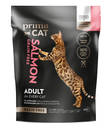 Adult Salmon Grain Free PrimaCat - Kissan kuivaruoat aikuisille kissoille - 029880 - 1