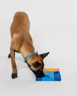 Aktivointipeli Beginner Set 6 osaa Pawzler - Koiran aktivointilelut - 059880 - 2