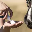 BioSun SPF 50 Eclipse Biofarmab - Kesätuotteet hevosille - 058030 - 5