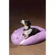 Donitsipeti Doris 90x18cm lila Ozami - Koiran reunalliset pedit - 046920 - 5