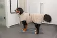 Kylpytakki beige-harmaa Trixie - Koiran pyyhkeet ja kuivatusmanttelit - 060430 - 2