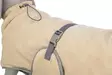 Kylpytakki beige-harmaa Trixie - Koiran pyyhkeet ja kuivatusmanttelit - 060430 - 7