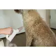 Kuivain Groomers Secret Pet Hair Dryer beige HAC - Turkinkuivaimet, suoristajat - 056750 - 2