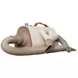 Kuivain Groomers Secret Pet Hair Dryer beige HAC - Turkinkuivaimet, suoristajat - 056750 - 4
