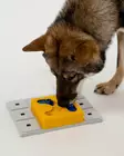 Lisäpala Kaya 12x12x4,5cm kelta-sininen Pawzler - Koiran aktivointilelut - 059890 - 2