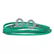 Maadoitusjohto Basic renkailla 100cm vihreä ZoneGuard - Kotieläinten aitaustarvikkeet - 055840 - 1