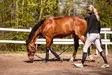 Maastakäsittelynaru 6m musta Paddock Sports - Hevosen juoksutus ja maastakoulutus - 058040 - 4
