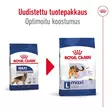 Adult MAXI Royal Canin - Koiran kuivaruoat aikuisille koirille - 018690 - 3
