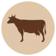 Nautapulla 700g pakaste Fanimal - Koiralle pakastelihat ja -elimet - 059610 - 2