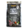 Puppy Grain Free Poultry Belcando - Kuivaruoat pennuille ja kasvatukseen - 044870 - 1