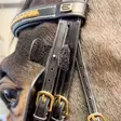 Silmälaput Fokus Blinkers Equality Line - Ratsuhevosen huput ja korvapallot - 057370 - 5