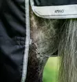 Ulkoloimi Amigo 1200D XL 50g black-titanium grey & silver Horseware - Hevosen kevyttoppaloimet ulkoiluun - 059920 - 5