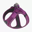 Valjas purple passion Comfort Walk Go Dog Copenhagen - Koiran Y-valjaat - 051620 - 1