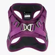 Valjas purple passion Comfort Walk Go Dog Copenhagen - Koiran Y-valjaat - 051620 - 3