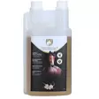Valkosipuli allicin liuos 100% 1L EU Excellent - Hevosen yrtit ja luontaistuotteet - 024590 - 2
