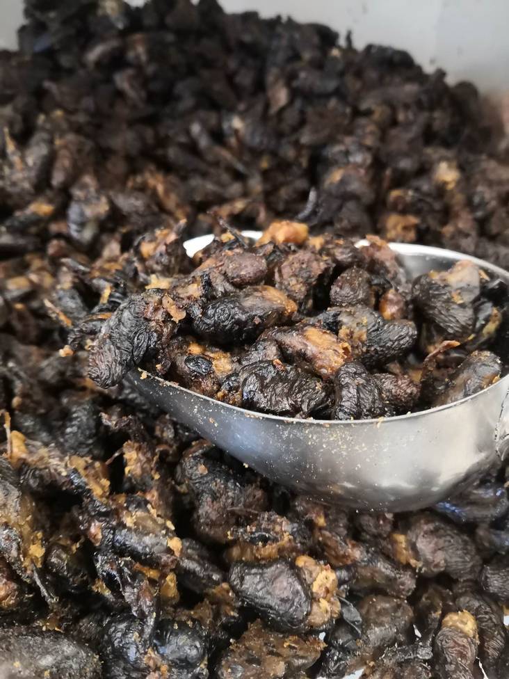 Broilerin sydän KILOHINTA Polar Pet - Koiran herkut ja makupalat - 034090 - 1