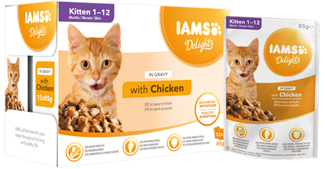 Kitten penturuokaa kastikkeessa 12x85g Delights Iams - Kissanpennun säilykkeet ja kasvatusruoat - 000530 - 1