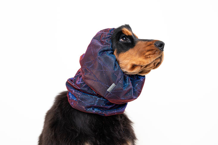 Korvasuoja Luxe Galaxy spaniel lila Show Tech - Koiran tossut, sukat ja korvasuojat - 036790 - 1