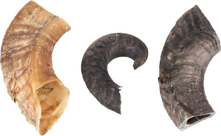 Lampaan sarvi KG Flamingo - Koiran herkut ja makupalat - 035630 - 1