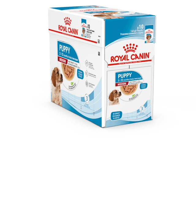 MEDIUM Puppy Gravy 10x140g kastike Royal Canin - Säilykeet pennuille ja kasvatukseen - 011840 - 2