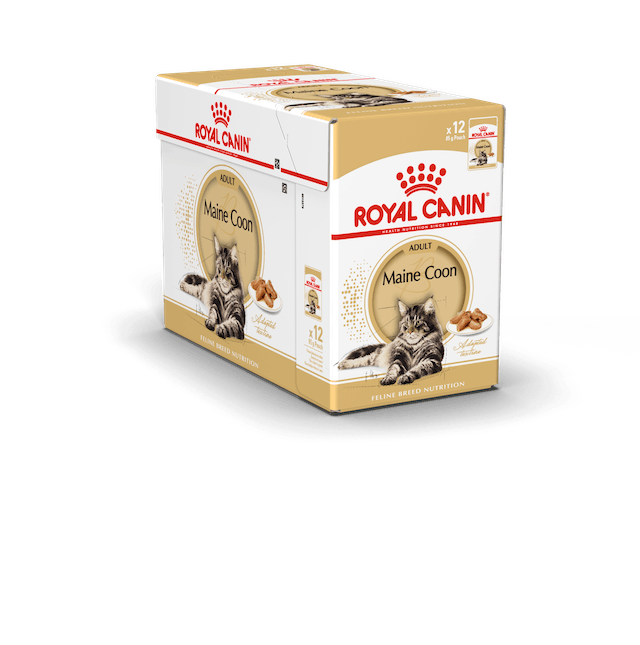 Maine Coon Adult Gravy 12x85g kastike Royal Canin - Aikuisten kissojen säilykkeet - 005840 - 3