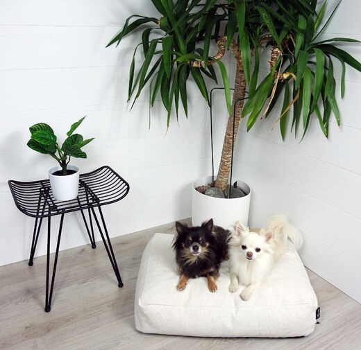 Patja Luxus Muurila beige Grande03 MemoryFoam Tujoma - Koiran patjat - 035770 - 1